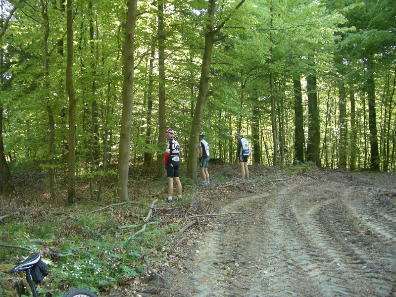 Bungsberg-CTF 521